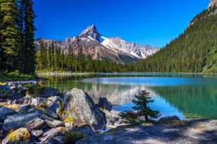 Lake O'Hara-4480 Lake O'Hara-4480